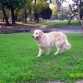de paseo en el parque 